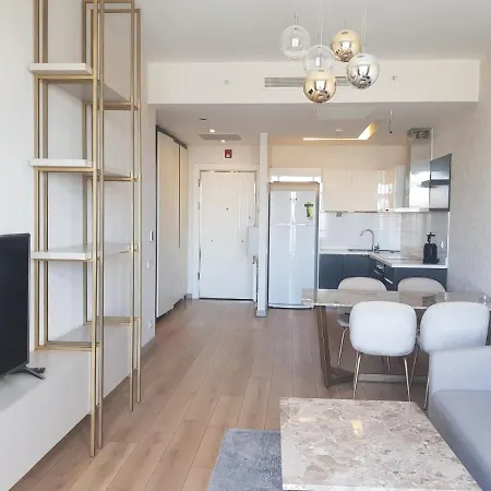 Mall Of Istanbul Apartment Basaksehir